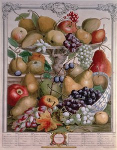 11月、「フルーツの12か月」より、ロバートファーバー作（1674-1756年頃）、ジェームススミスによって彫刻（1732年）（色の彫刻） 作： Pieter Casteels